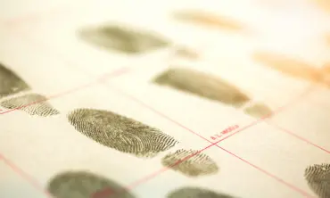 Identity Verification and Risk-Based Fraud Protection